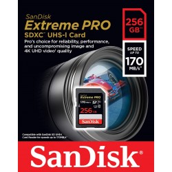 256GB SD KART 200MB-S EXT PRO C10 SANDISK SDSDXXD-256G-GN4IN